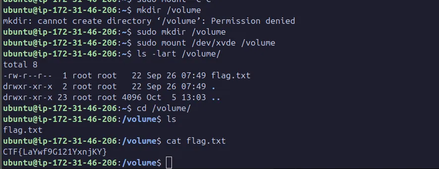Mount CTF